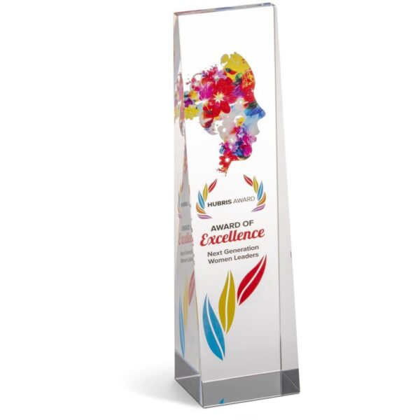 Altitude Hubris Award - Image 5