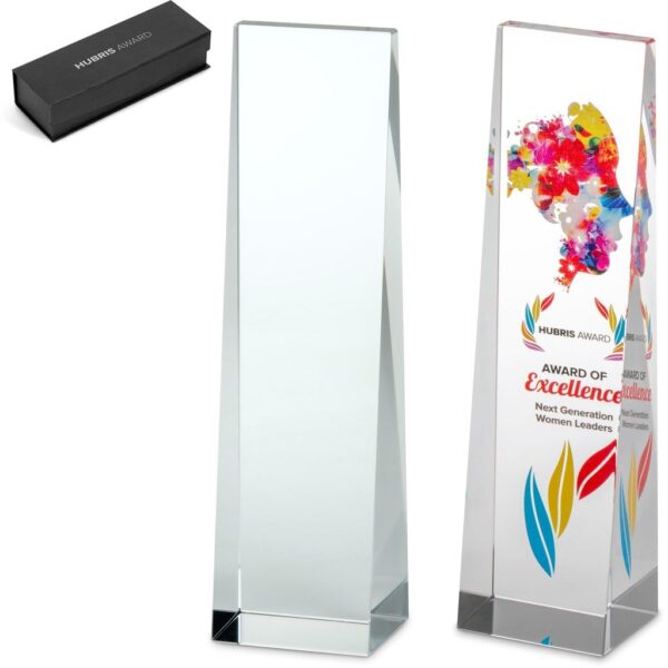 Altitude Hubris Award - Image 2