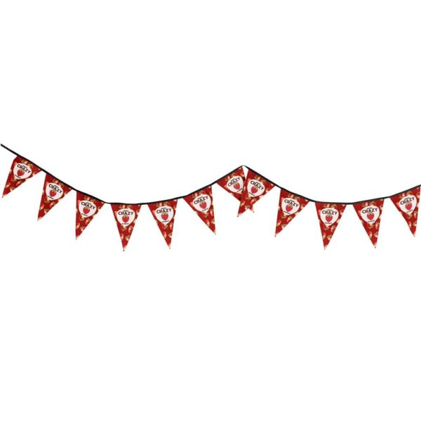 Sublimated Single-Sided Polyester Triangle Bunting 10m - Image 6