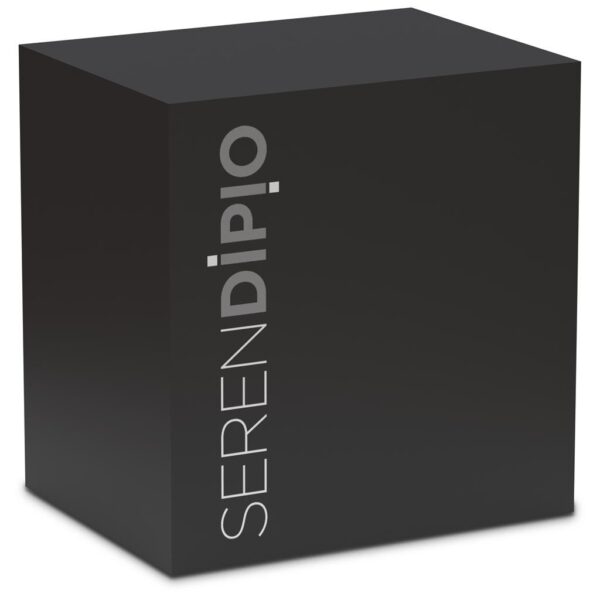 Serendipio Sonatina 5W Bluetooth Speaker - Image 4